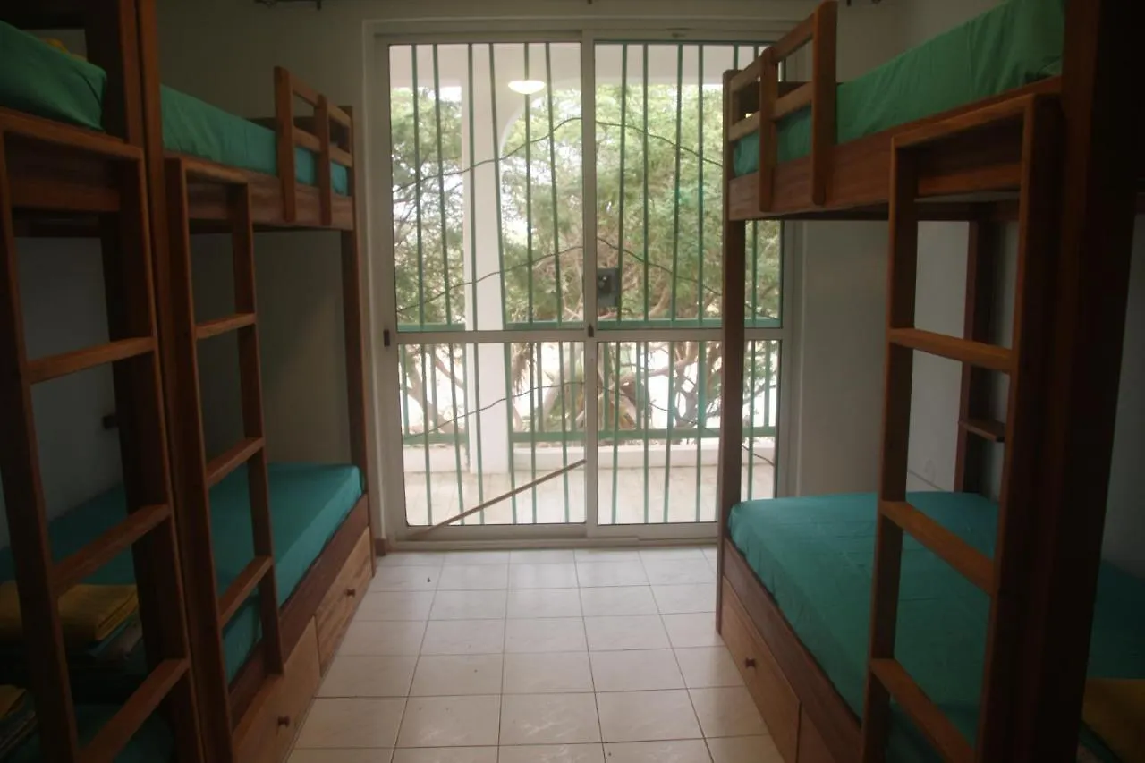 Surf House Hostel Santa Maria